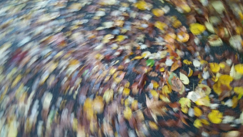 swirling leaves